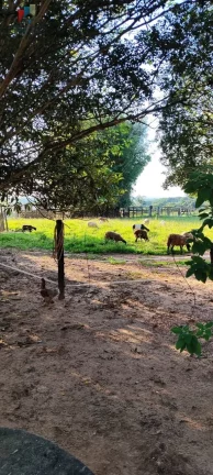 Imagem Sítio a venda em Itapetininga SP