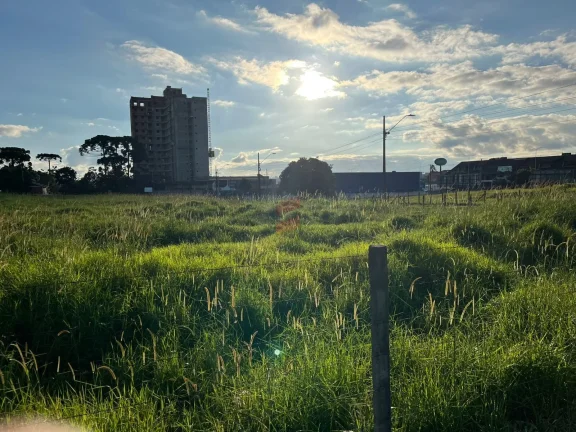 Imagem ÁREA à venda com 5513.17m² por R$ 8.269.755,00 no bairro Centro - PINHAIS / PR