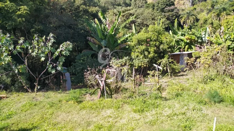 Imagem Terreno COM MAIS DE 3 MIL METROS Cafezal III