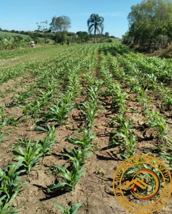 Imagem SITIO RURAL em BOITUVA - SP, Agua Branca