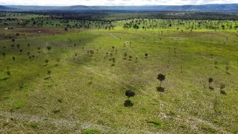 Imagem Oportunidade Única! Fazenda de Alto Potencial em Várzea da Palma - Conheça Agora!