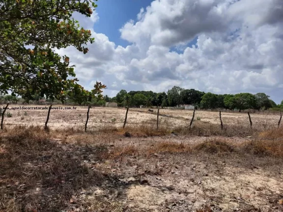Imagem Granja para Venda em Macaíba, Centro, 2 dormitórios, 3 banheiros, 9 vagas