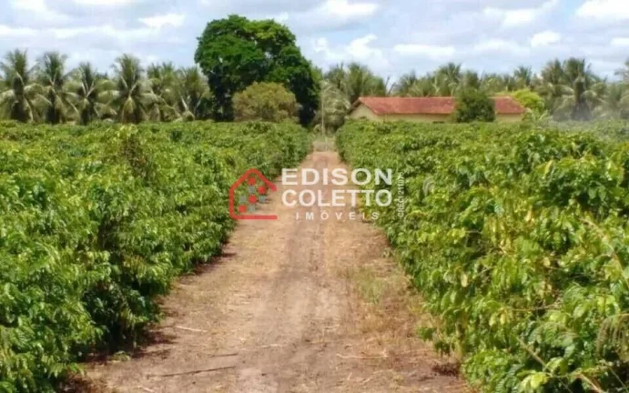 Imagem Fazenda/Sitio, Residencial/Comercial para Venda, Centro, Caraiva