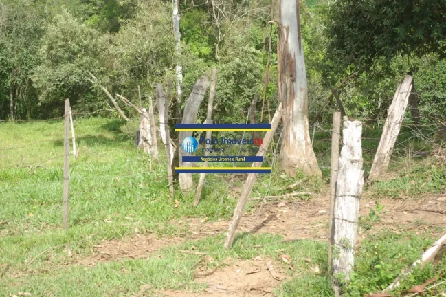 Imagem Sítio 14 alqueires com estrutura, casa, água e energia, R$ 90.000,00 valor do alqueire - Jacuí - Minas Gerais