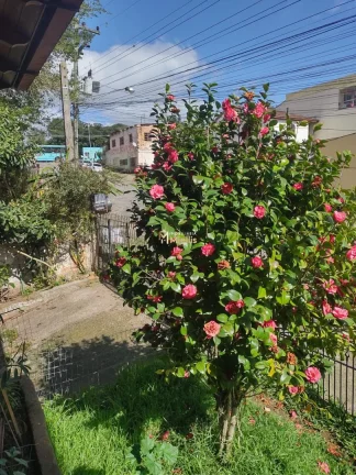 Imagem Casa com 3 Dormitorio(s) localizado(a) no bairro Cecília em Viamão / Rio Grande do Sul Ref.:57580046