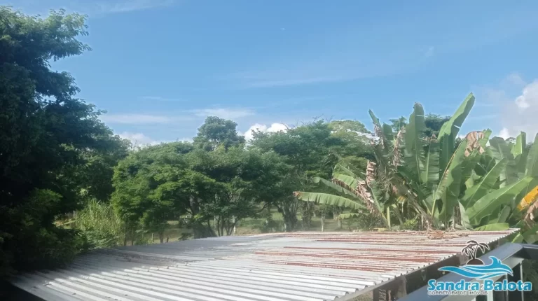 Imagem Apartamento novo de 1 dormitório (suíte) Tenório/Ubatuba