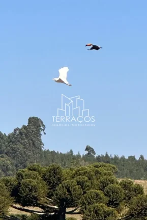 Imagem OPORTUNIDADE ÚNICA: TERRENO DE 94 MIL M² NA ENCANTADORA CIDADE DE MUNHOZ