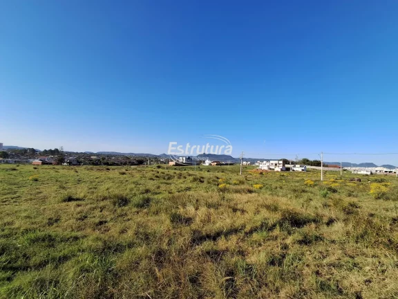 Terreno no loteamento Alberto Schons de 1181,13 m²