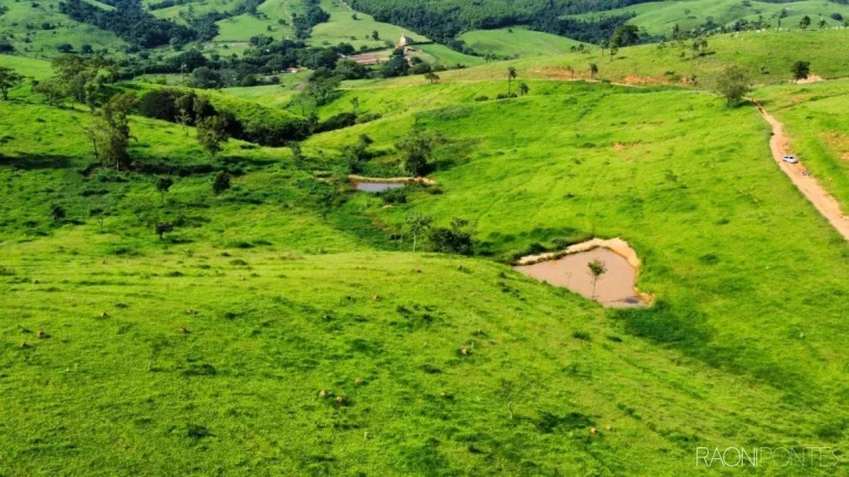 Imagem Fazenda à Venda, 10.357.600 m² em São Geraldo - Belo Horizonte