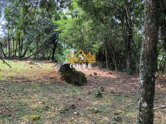 Imagem Chácara - Sítio com 2 Dormitorio(s) localizado(a) no bairro Zona Rural em São Francisco de Paula / RIO GRANDE DO SUL Ref.:1345