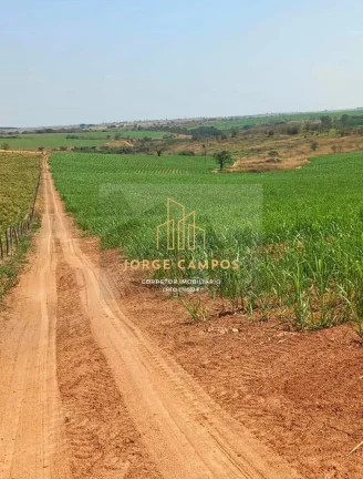 Imagem FA-25233 - FAZENDA À VENDA NA MESORREGIÃO DE RIO PRETO - SP