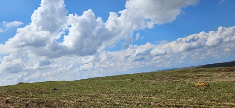 Imagem FAZENDA À VENDA EM DELFINÓPOLIS - MG COM 430 ALQUEIRES