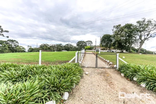Imagem Sitio maravilhoso com 10,51 hectares - a 200m do Mercado 4 irmãos - Fazendinha - c/ Escritura e Registro - Rio Negro.