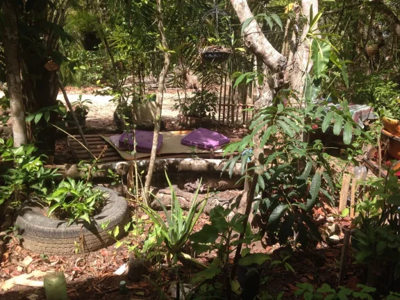 Terreno com cabana em madeira a venda na praia do forte, no bairro Lagoa Aruá área de 1.000 m2