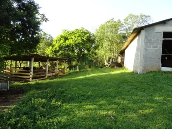 Imagem Sítio Sereno em Piracaia 35 Mil m² de Pura Natureza com Riacho e Cachoeira