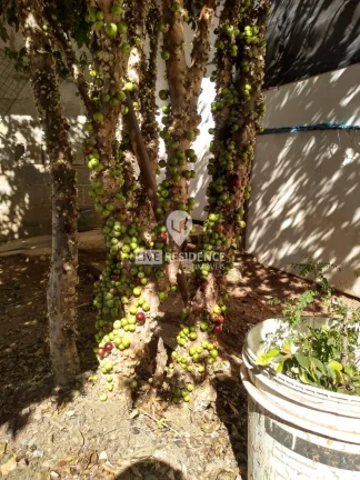 Imagem Chácara à Venda em Itatiba no Recanto dos Pássaros com 1900m² de Terreno