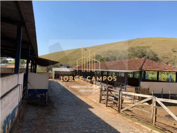 Imagem FA-25221 - FAZENDA À VENDA NA REGIÃO DE SILVEIRAS -SP