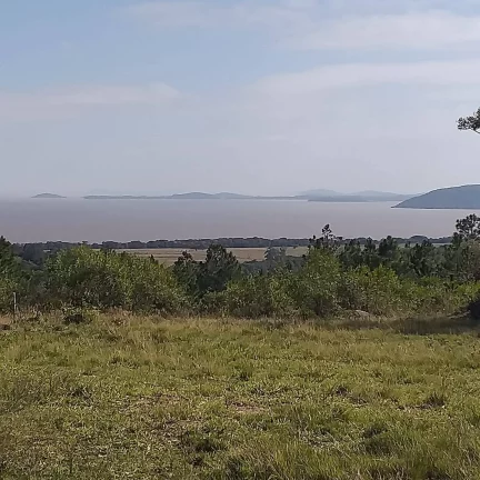 Imagem Fazenda à Venda – 385 Hectares – Beira do Asfalto – Viamão/RS