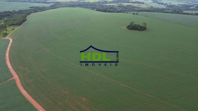 Imagem Fazenda 70 Alqs Dupla Aptidão plantada em Soja em Bela Vista GO