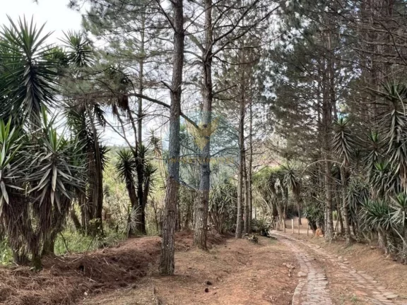 Imagem Área a Venda no bairro Granja Viana - Cotia, SP
