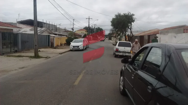 Imagem    