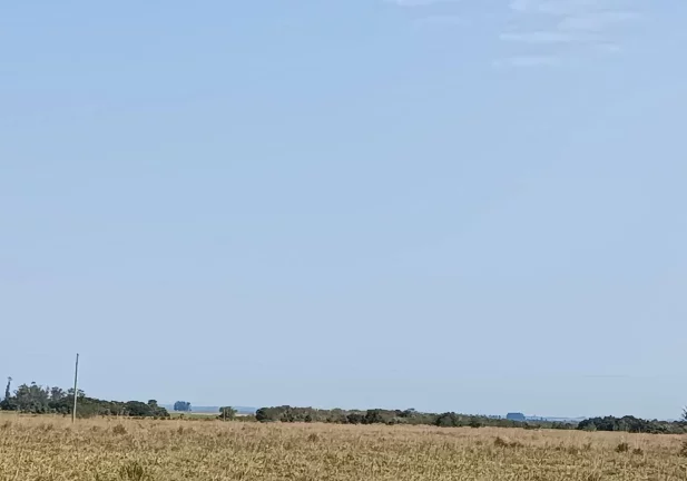 Imagem Fazenda à Venda – 583 Hectares – Viamão/RS