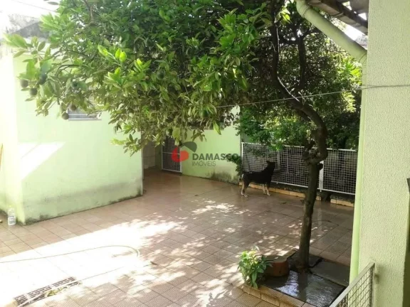 Imagem Casa à venda 3 Quartos, 2 Vagas, 207M², Osvaldo Cruz, São Caetano do Sul - SP