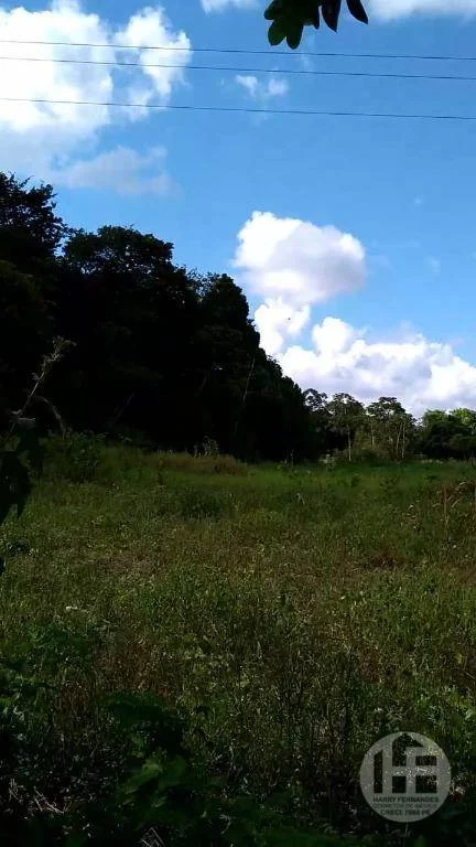 Imagem Chácara com 3 Quartos à Venda, 88.699 m² em Aldeia - Camaragibe