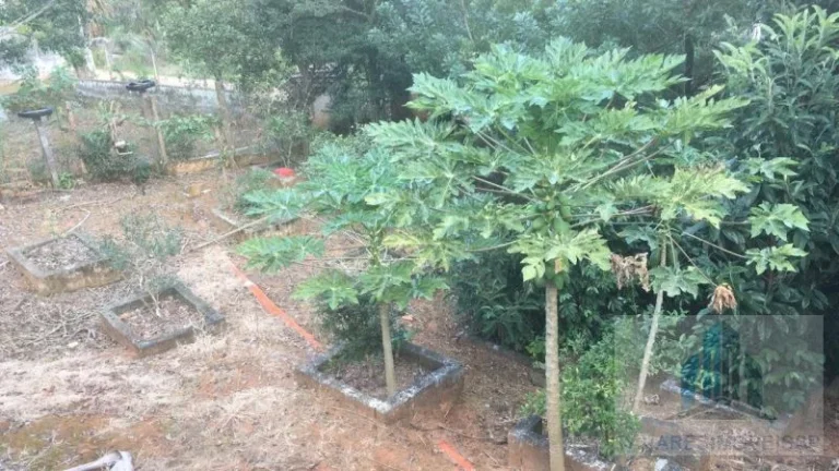 Imagem Chácara com 2 quartos, 10000m2, à venda em Nazaré Paulista, Morro Grande