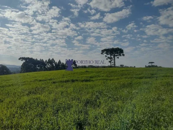 Imagem ÁREA PARA FORMAR CHÁCARA EM BALSA NOVA