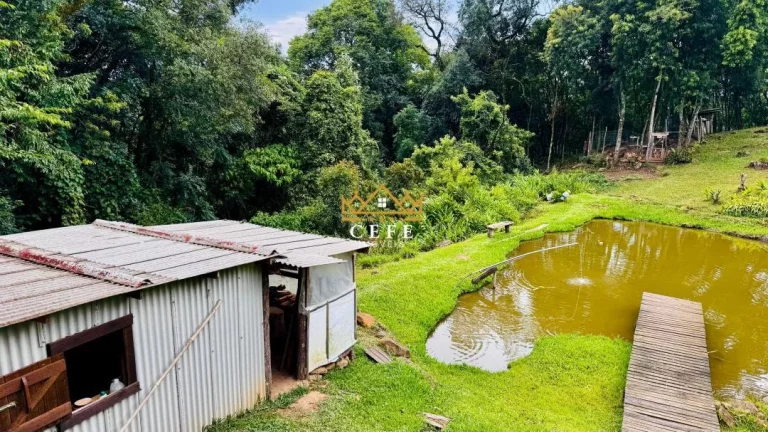 Imagem Chácara - Sítio com 2 Dormitorio(s) localizado(a) no bairro Padre Eterno Ilges em Santa Maria do Herval / RIO GRANDE DO SUL Ref.:1607