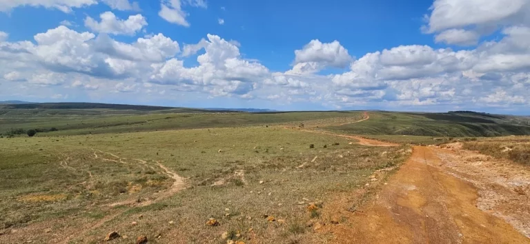 Imagem FAZENDA À VENDA EM DELFINÓPOLIS - MG COM 430 ALQUEIRES