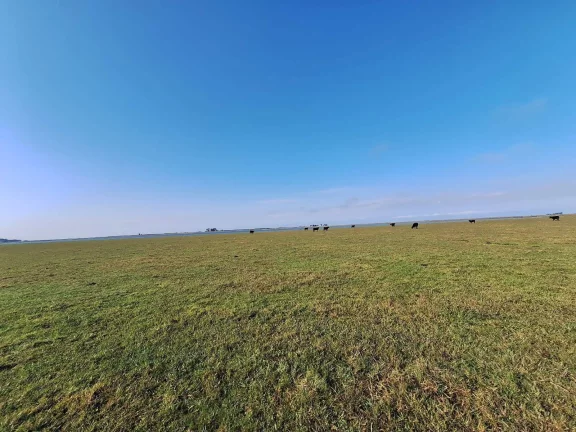 Imagem Excelente Área de 130 Hectares para Cultivo de Arroz – Viamão/RS
