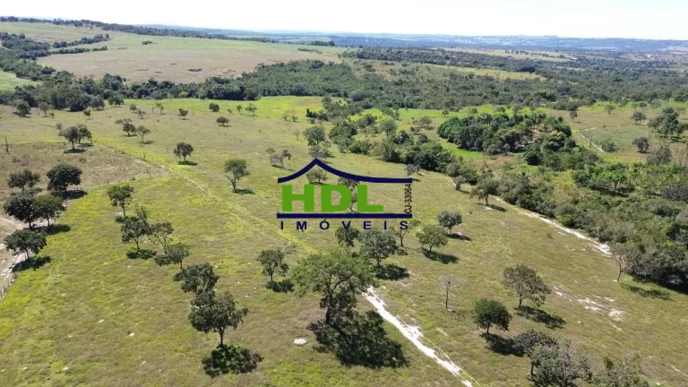 Imagem Chácara com 30,87 Hectares beira asfalto 85 kms de Goiânia