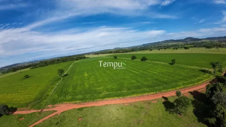 Imagem Fazenda 3 alqueires em Anicuns - Excelente para plantio