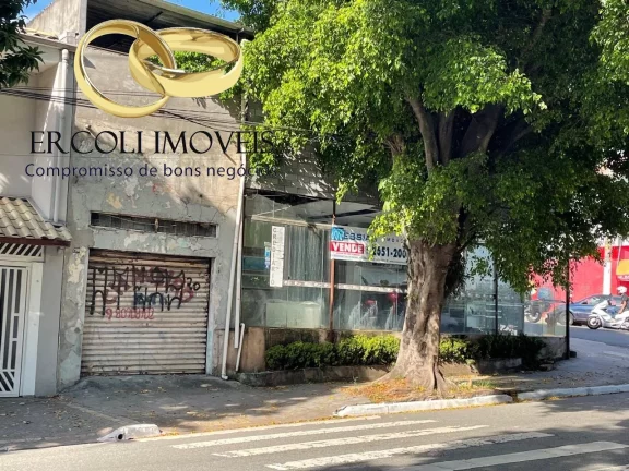 Imagem PONTO COMERCIAL em São Paulo - SP, Vila Matilde