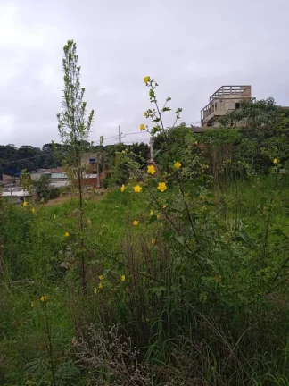 Imagem Área no Campo do Santana - Ideal para Construção de Casas - R$2100000,00