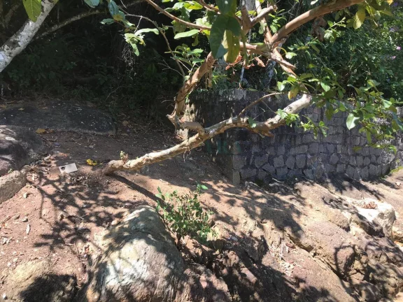 Imagem Paraty Terrenos Escriturados Front Mar