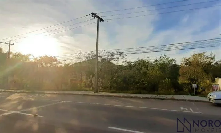 Terreno à venda na RST 509