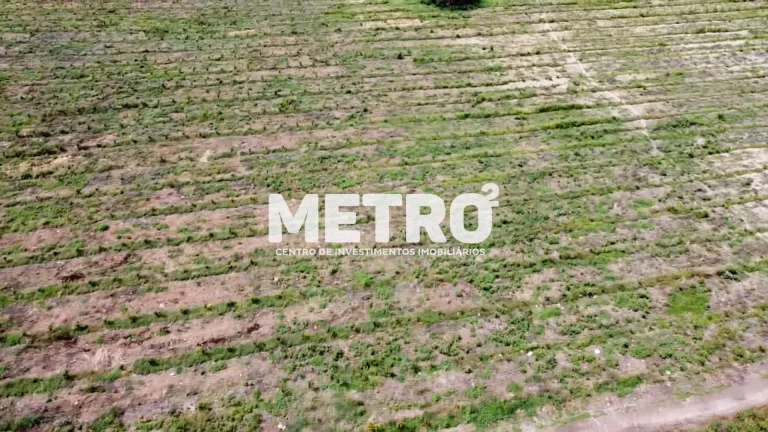 Imagem Fazenda à venda de mangas, 15 hectares, escriturada e quitada na CODEVASF