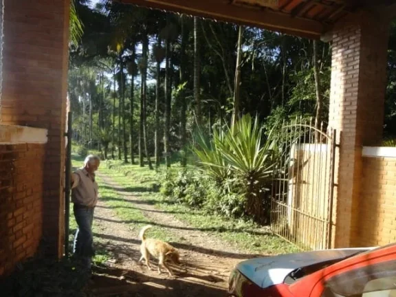 Imagem Sítio Sereno em Piracaia 35 Mil m² de Pura Natureza com Riacho e Cachoeira