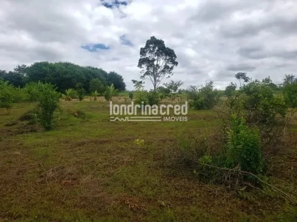 Imagem Excelente Sítio em Ibiporã-PR: 2 Casas de Alvenaria, 24.200m², Área Verde, Próximo ao Rio Tibagi e a 5km da Via Urbana