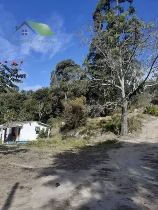 Imagem Sítio com plantação de eucalipto 121.000,00m2, à venda por R$ 950.000,00 em Paraibuna/SP