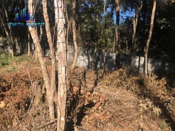 Imagem TERRENO 500 m² DENTRO DE CONDOMÍNIO FECHADO.

Área com 20 metros de frente, e com vegetação sec...
