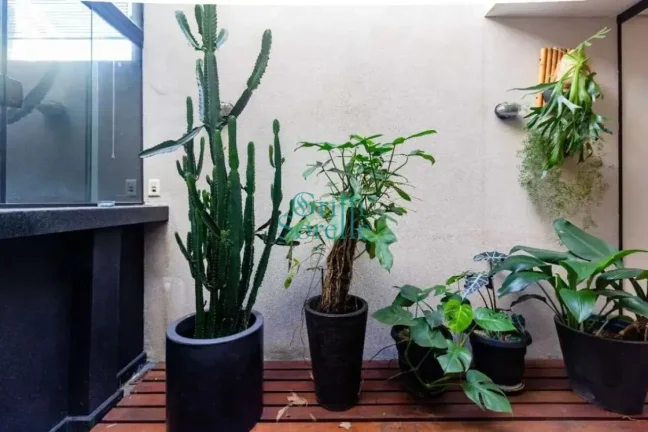 Imagem Casa de Vila à Venda em Vila Mariana - São Paulo/SP.