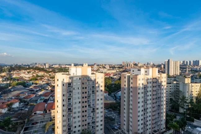 Imagem Apartamento com 3 Quartos à Venda, 74 m² em Jardim Das Vertentes - São Paulo