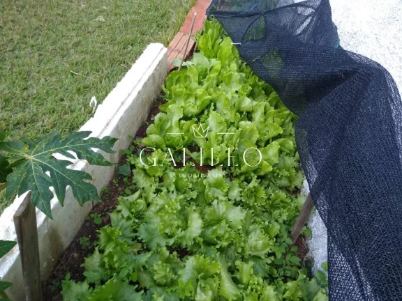Imagem CHACARA COM PISCINA Á VENDA EM NOVA TRIESTRE JARINU -SP