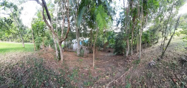 Imagem Sítio - Pronto para morar Vargem Pequena - Florianópolis/SC