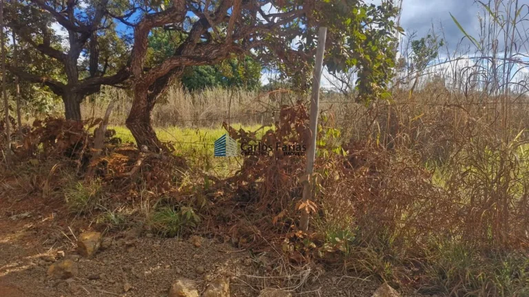 Imagem Chácara para Venda em Brasília, Setor Habitacional Tororó (Jardim Botânico)