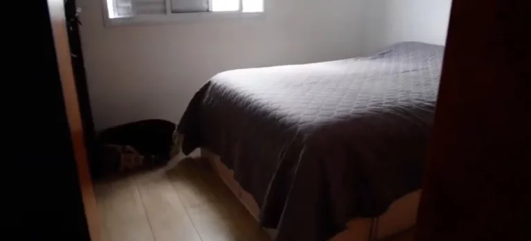 Imagem APARTAMENTO RESIDENCIAL em SÃO PAULO - SP, VILA FIRMIANO PINTO